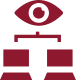 Network-monitoring-icon2